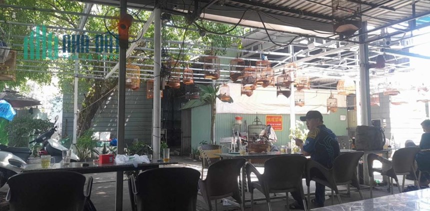 SANG NHƯỢNG QUÁN CAFE - CHIM - CƠM BÌNH DÂN ĐỊA CHỈ 45 CAO LỖ, PHƯỜNG 4, QUẬN 8, THÀNH PHỐ HỒ CHÍ