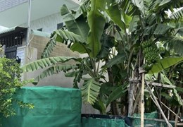 CHÍNH CHỦ CẦN BÁN NHANH Lô C Dự án Eco 6 Việt Nhân, Phường long trường, Tp Thủ Đức