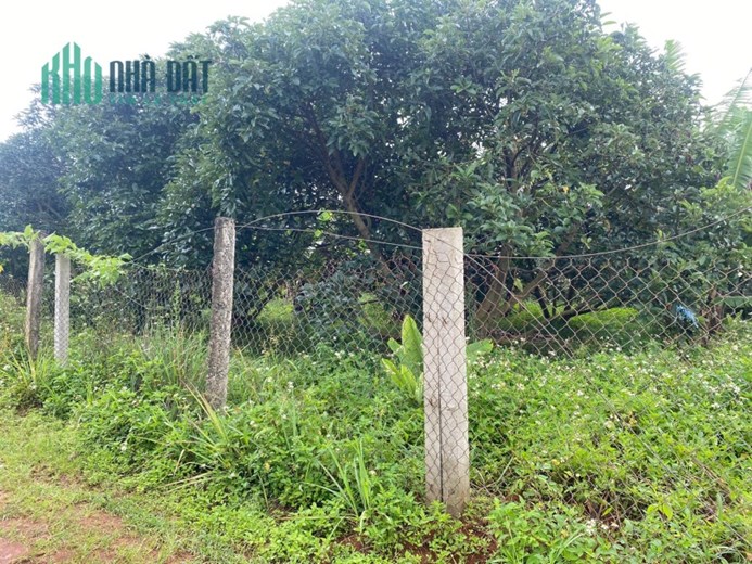 💥 ĐẤT Ở KHU VỰC KA ĐÔ GIÁ SIÊU ƯU ĐÃI  💥