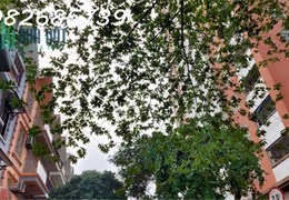 Chính chủ bán căn chung cư 2 ngủ 88m hai ban công chung cư An Lạc Phùng Khoang nhỉnh 2 tỷ