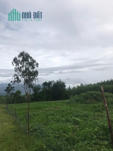 CHÍNH CHỦ BÁN NHANH LÔ ĐẤT VỊ TRÍ ĐẸP - GIÁ TỐT  Tại Xã Cư KTy Huyện Krông Bông, Đăk Lăk