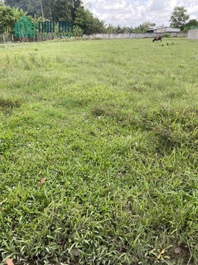 BÁN NHANH LÔ ĐẤT ĐẸP - GIÁ TỐT Vị Trí Tại huyện Châu Thành, tỉnh Trà Vinh