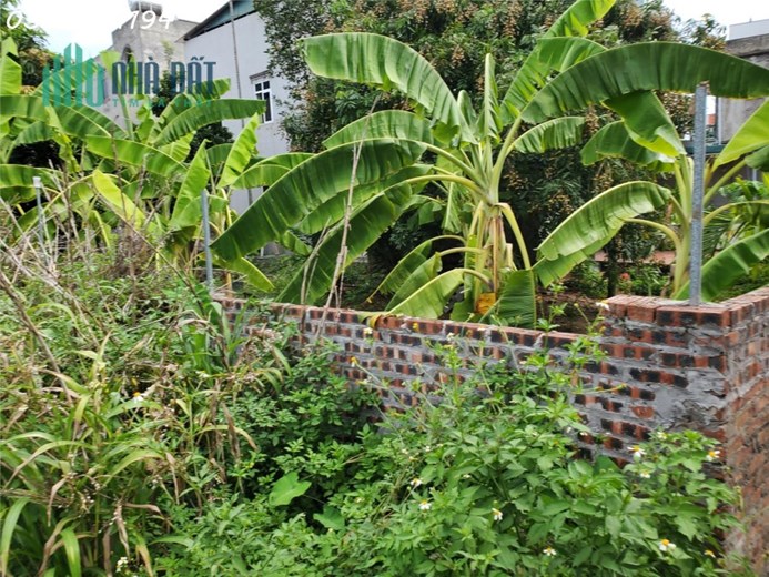 Xoms Nhì, Vân nội còn 1 ô 60m2 thổ cư đẹp, cơ hội duy nhất