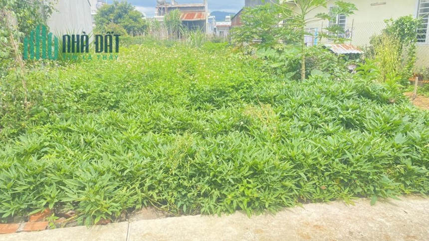 1 lô đất ngay gần trung tâm thuộc liên nghĩa kế bên trường học Nam Sơn 2,2 tỷ