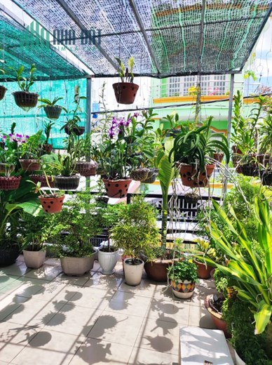 HXH TRÁNH THÔNG TÂN CHÁNH HIỆP QUẬN 12 - HƠN 100M2, NGANG GẦN 6M, 2 TẦNG, NGAY CVPM QUANG TRUNG -