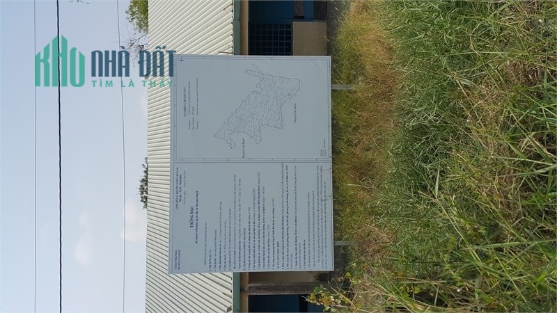 Cơ Hội Đầu Tư Đất Thổ Cư Gần Đường ĐT19, Xã Tân Tập, Cần Giuộc.