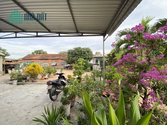 Nhà Vườn 16x22 352m2, Cách Biển 1,5km, Sân bay Tuy Hòa 3km