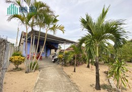 Nhà Vườn 16x22 352m2, Cách Biển 1,5km, Sân bay Tuy Hòa 3km