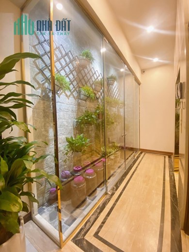 Chủ nhà đang thở Oxy cần bán gấp 82m2 Phố Vọng, HBT với 6 tầng thang máy chào 22.9 tỷ.