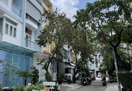 Khu hiếm bán Him Lam Q7 - kế bên Vstarschool - mặt tiền đường số - 74m2 ngang chuẩn 4.5m