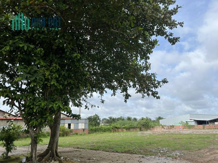 ĐẤT ĐẸP - GIÁ TỐT - CẦN BÁN GẤP Long Hưng, Thanh Đức, Long Hồ, Vĩnh Long