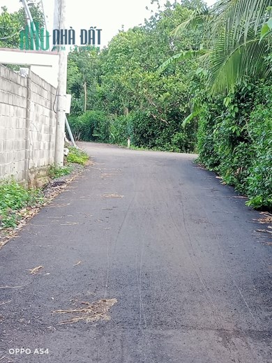 CHÍNH CHỦ CẦN BÁN LÔ ĐẤT 284 TỔ 4 – KHU 6 – THỌ TÂN – XUÂN THỌ - XUÂN LỘC – ĐỒNG NAI.