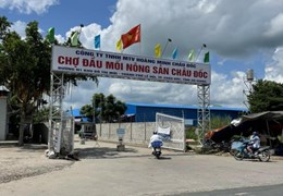 Nền mặt tiền QL91, cạnh chợ đầu mối nông sản Châu Đốc