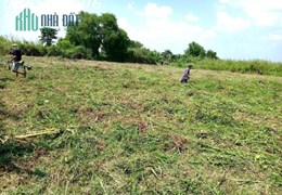 CHÍNH CHỦ BÁN ĐẤT TRỒNG CÂY LÂU NĂM Ở HÓC MÔN - GIÁP QUẬN 12 - TP HỒ CHÍ MINH