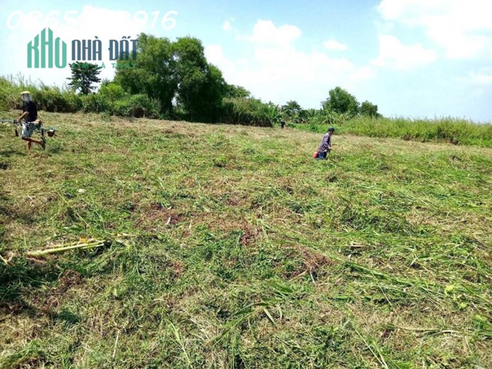 CHÍNH CHỦ BÁN ĐẤT TRỒNG CÂY LÂU NĂM Ở HÓC MÔN - GIÁP QUẬN 12 - TP HỒ CHÍ MINH
