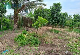 Bán đất chính chủ  xã Phước Hậu, huyện Long Hồ, tỉnh Vĩnh Long.