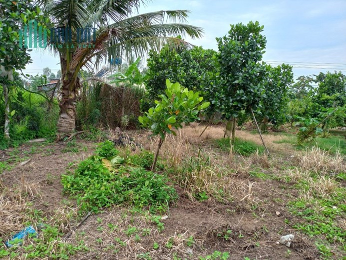 Bán đất chính chủ  xã Phước Hậu, huyện Long Hồ, tỉnh Vĩnh Long.