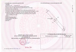 Bao nhiêu lâu mong chờ đã có trong tay ai có nhu cầu mua em gả luôn giá chỉ từ 250 triệu tới 299