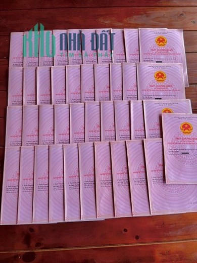 Bao nhiêu lâu mong chờ đã có trong tay ai có nhu cầu mua em gả luôn giá chỉ từ 250 triệu tới 299