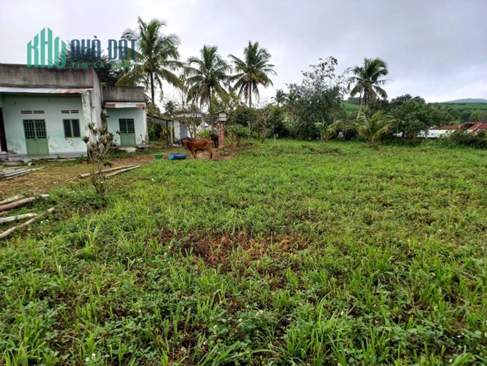 Bán lô đất  đẹp  Thôn An Thạch, Xã Xuân An ,Thị Xã An Khê,Tỉnh Gia Lai .