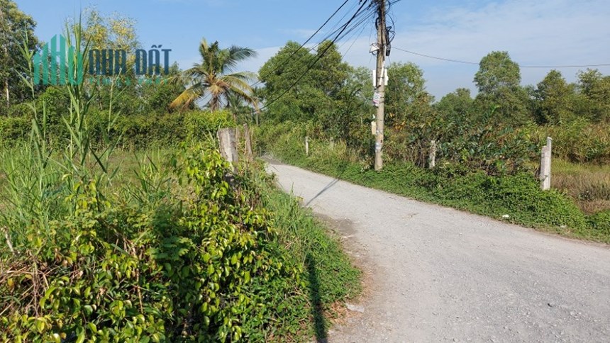 Bán 1469m đất 2MT tại TP Thủ Đức, xây Biệt Thự Vườn, quy hoạch ra 3MT. Lh:0966334433