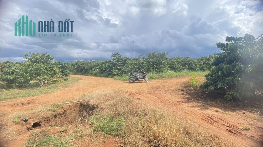 Bán 1,5 héc ta đất thiện chí ninh gia đức trọng chỉ 12 tỷ