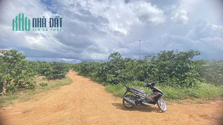 Bán 1,5 héc ta đất thiện chí ninh gia đức trọng chỉ 12 tỷ