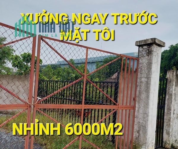 Xưởng Bán - Trên 6000m2 chỉ 12,5tr/m2 MT Võ Văn Bích Bình Mỹ Củ Chi TPHCM