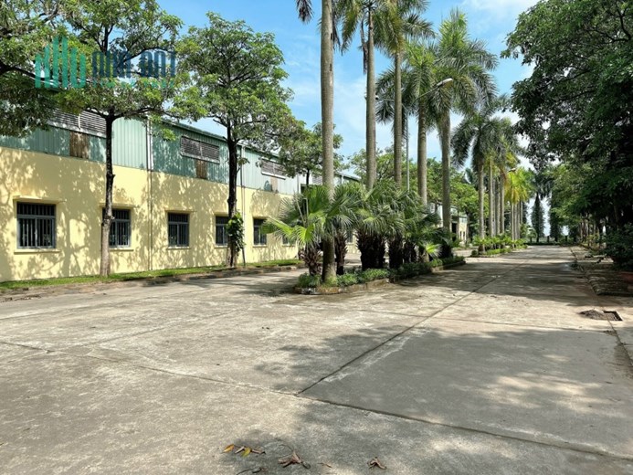 NHÀ, XƯỞNG CHO THUÊ TẠI HUYỆN PHÚ XUYÊN. HÀ NỘI