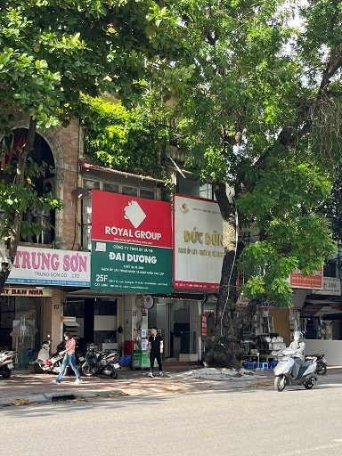 Cần cho thuê 02 nhà liền nhau (MT: 8m - 6 tầng - 200m2/sàn) mặt phố Cát Linh