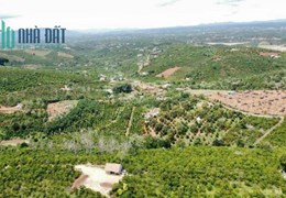 CHÍNH CHỦ CẦN BÁN LÔ ĐẤT Đẹp - GIÁ ĐẦU TƯ Tại Di Linh - Lâm Đồng