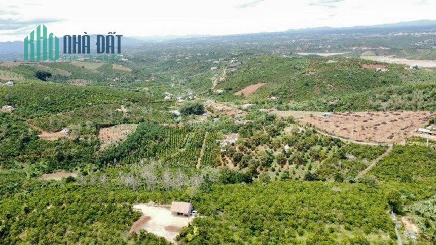 CHÍNH CHỦ CẦN BÁN LÔ ĐẤT Đẹp - GIÁ ĐẦU TƯ Tại Di Linh - Lâm Đồng