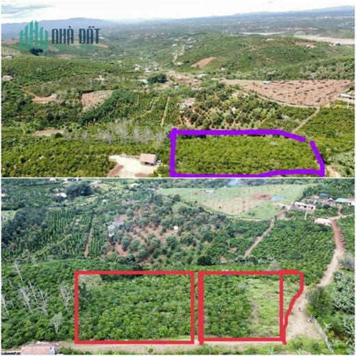 CHÍNH CHỦ CẦN BÁN LÔ ĐẤT Đẹp - GIÁ ĐẦU TƯ Tại Di Linh - Lâm Đồng