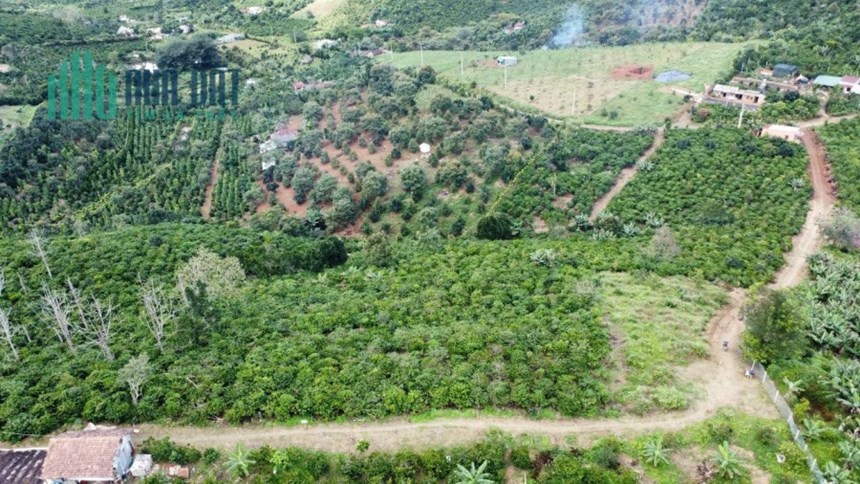 CHÍNH CHỦ CẦN BÁN LÔ ĐẤT Đẹp - GIÁ ĐẦU TƯ Tại Di Linh - Lâm Đồng