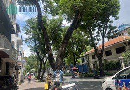 Bán Nhà 1 ĐỜI Chủ Mặt Tiền Trương Định p6 Quận 3 - Ngang 4,5m x 26m giá 65 Tỷ TL