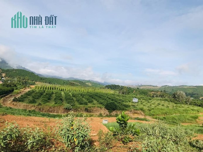 CHÍNH CHỦ CẦN BÁN LÔ ĐẤT Đẹp - GIÁ ĐẦU TƯ Tại xã Đạ Rsal, huyện Đam Rông, tỉnh Lâm Đồng