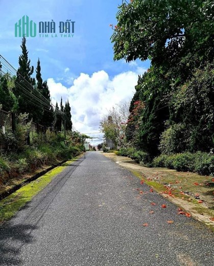 Bán biệt thự KQH Lý Nam Đế P8 Đà Lạt 315m2