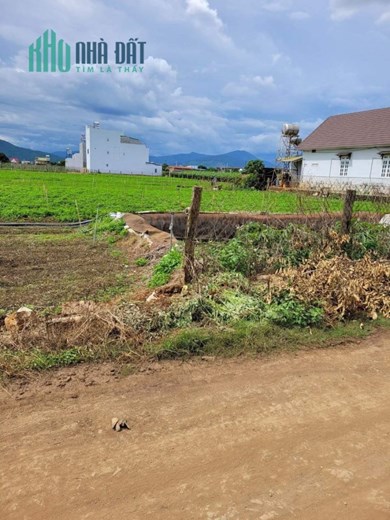 Đất mặt tiền đường tổ 34 35 liên nghĩa đức trọng chỉ 2,8 tỷ