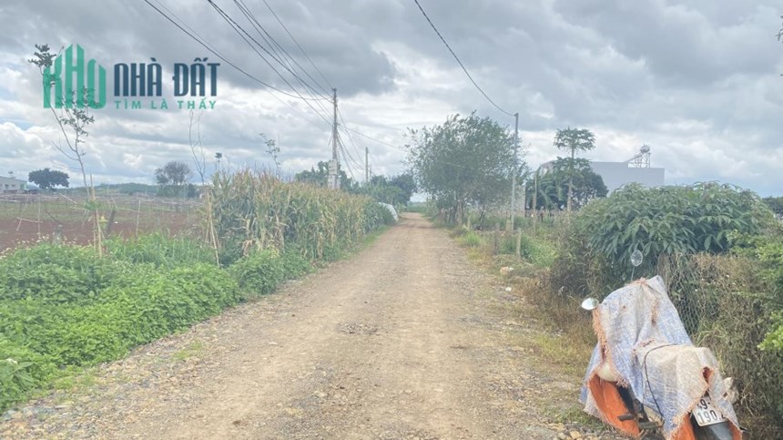 Đất mặt tiền đường tổ 34 35 liên nghĩa đức trọng chỉ 2,8 tỷ