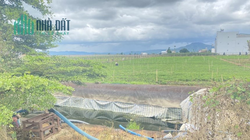 Đất mặt tiền đường tổ 34 35 liên nghĩa đức trọng chỉ 2,8 tỷ