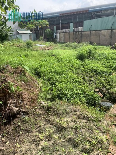 NÕNG ĐẤT LỚN THỬA 301 TỜ 52  HẺM  1 ĐƯỜNG SỐ 4, P TRƯỜNG THỌ Q THỦ ĐỨC 702M2 CHỈ 40 TỶ
