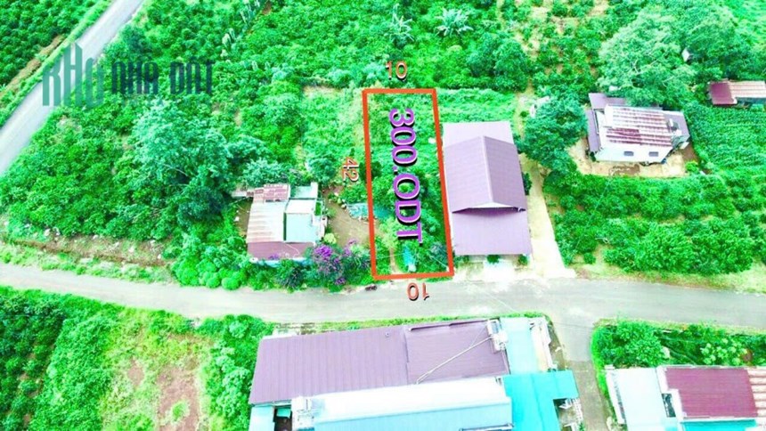 Sở Hữu LÔ ĐẤT Thổ Cư - Chính Chủ - Vị Trí Đẹp - GIÁ ĐẦU TƯ Tại Di Linh - Lâm Đồng