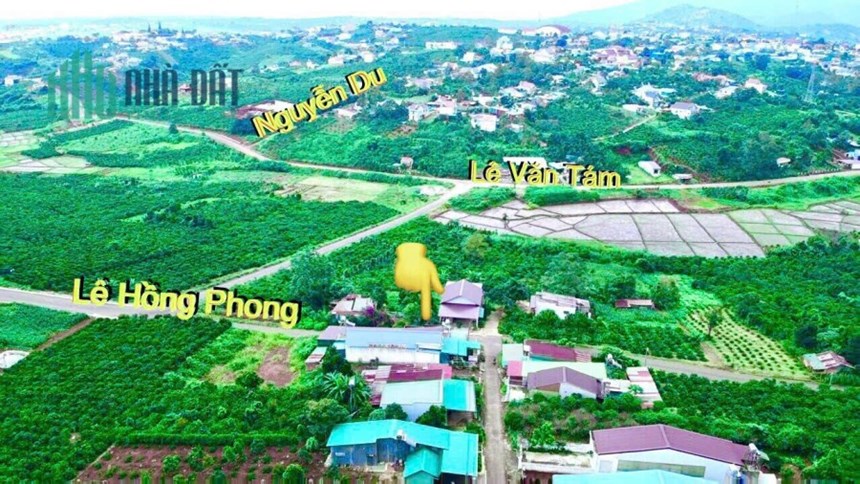 Sở Hữu LÔ ĐẤT Thổ Cư - Chính Chủ - Vị Trí Đẹp - GIÁ ĐẦU TƯ Tại Di Linh - Lâm Đồng