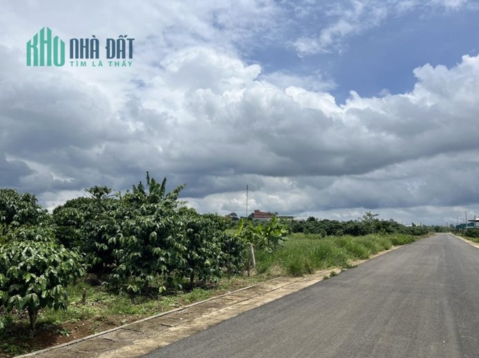 CẦN BÁN GẤP Đất Tại  Phường Lộc Phát-TP Bảo Lộc, Tỉnh Lâm Đồng