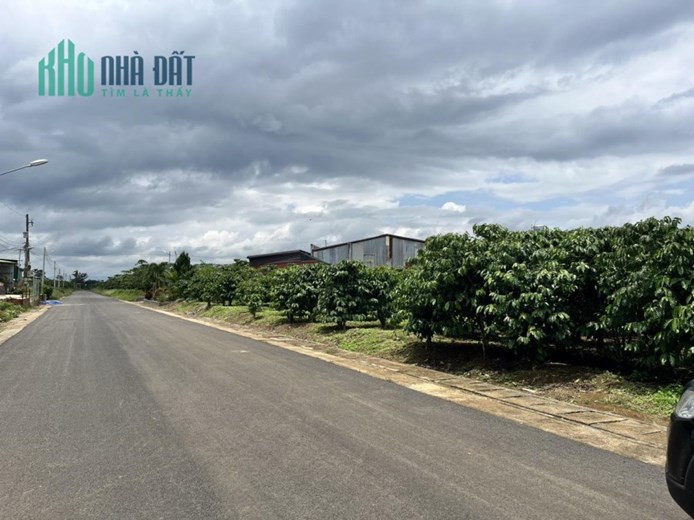 CẦN BÁN GẤP Đất Tại  Phường Lộc Phát-TP Bảo Lộc, Tỉnh Lâm Đồng
