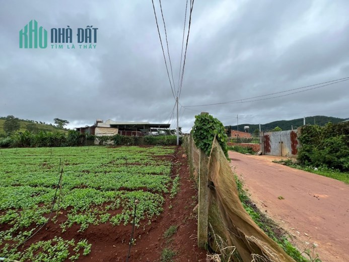🔥 🔥 Đất tại Đạ Ròn có view tháp Kinh Luân lớn nhất Thế giới giá siêu rẻ 🔥 🔥