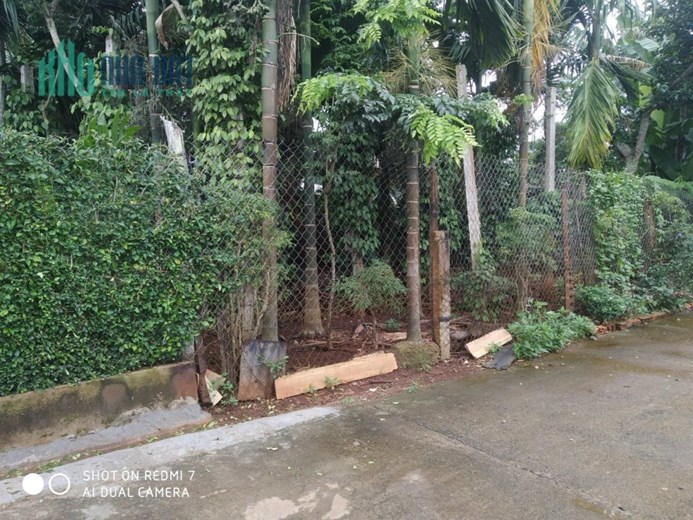 ĐẤT CHÍNH CHỦ, TRUNG TÂM SÂN BAY BUÔN MA THUỘT - Tiềm Năng Phát Triền Sân Bay Quốc Tế