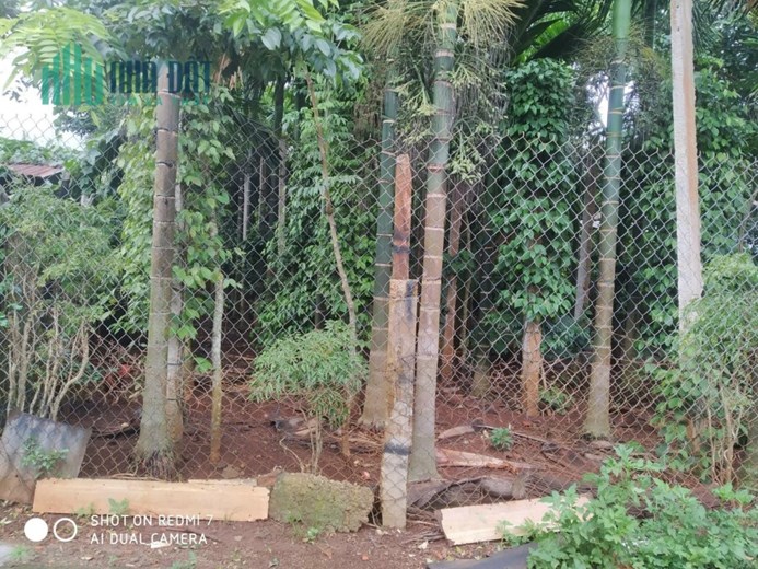 ĐẤT CHÍNH CHỦ, TRUNG TÂM SÂN BAY BUÔN MA THUỘT - Tiềm Năng Phát Triền Sân Bay Quốc Tế