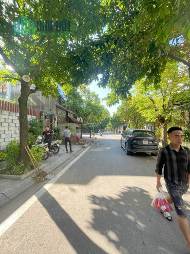 [ SIÊU BIỆT THỰ ] KĐT THÀNH THÁI 300M2, 5T, CÓ HẦM, KD ĐỈNH, VIEW THOÁNG.
