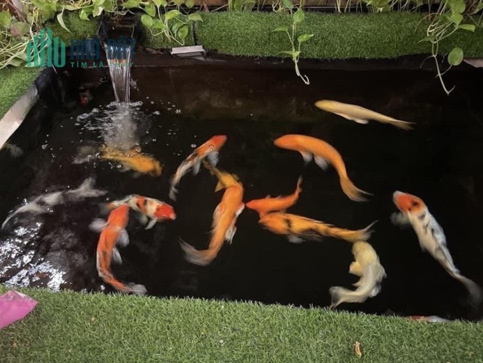 Bán nhà mới 3 tầng BTCT HXH 10m 85m2 Hương Lộ 2 Bình Tân chỉ nhỉnh 6 tỷ thương lượng